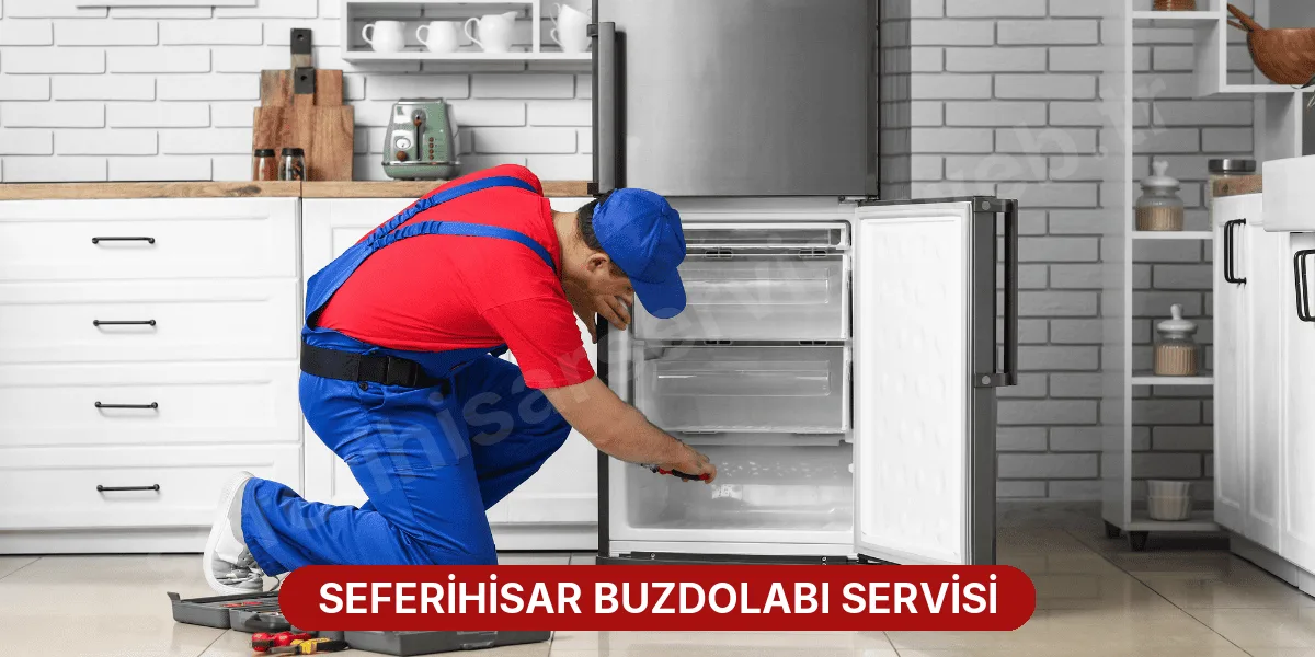 Seferihisar Buzdolabı Servisi