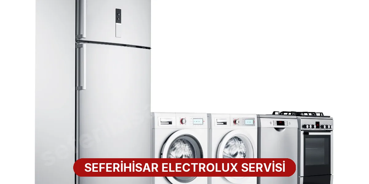 Seferihisar Electrolux Servisi