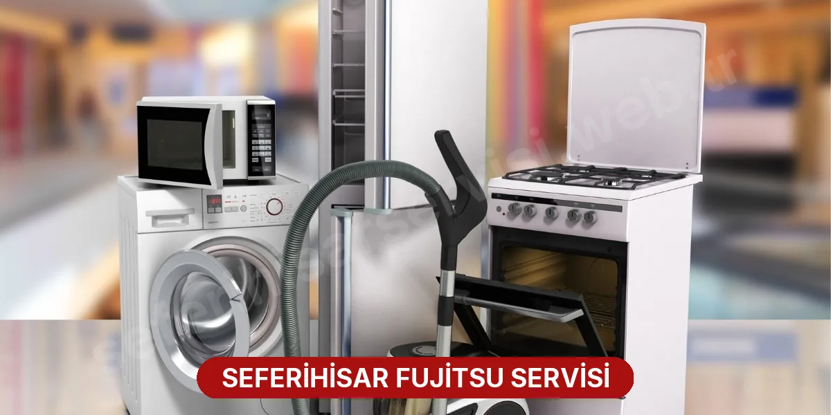 Seferihisar Fujitsu Servisi