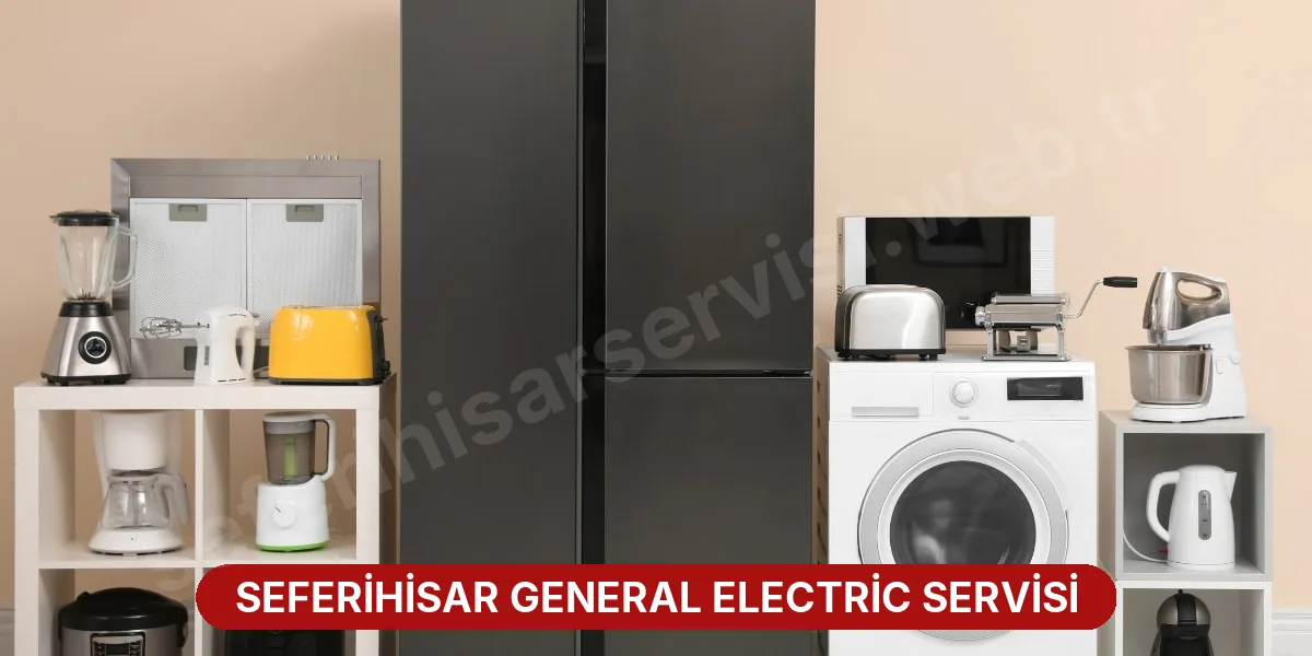 Seferihisar General Electric Servisi