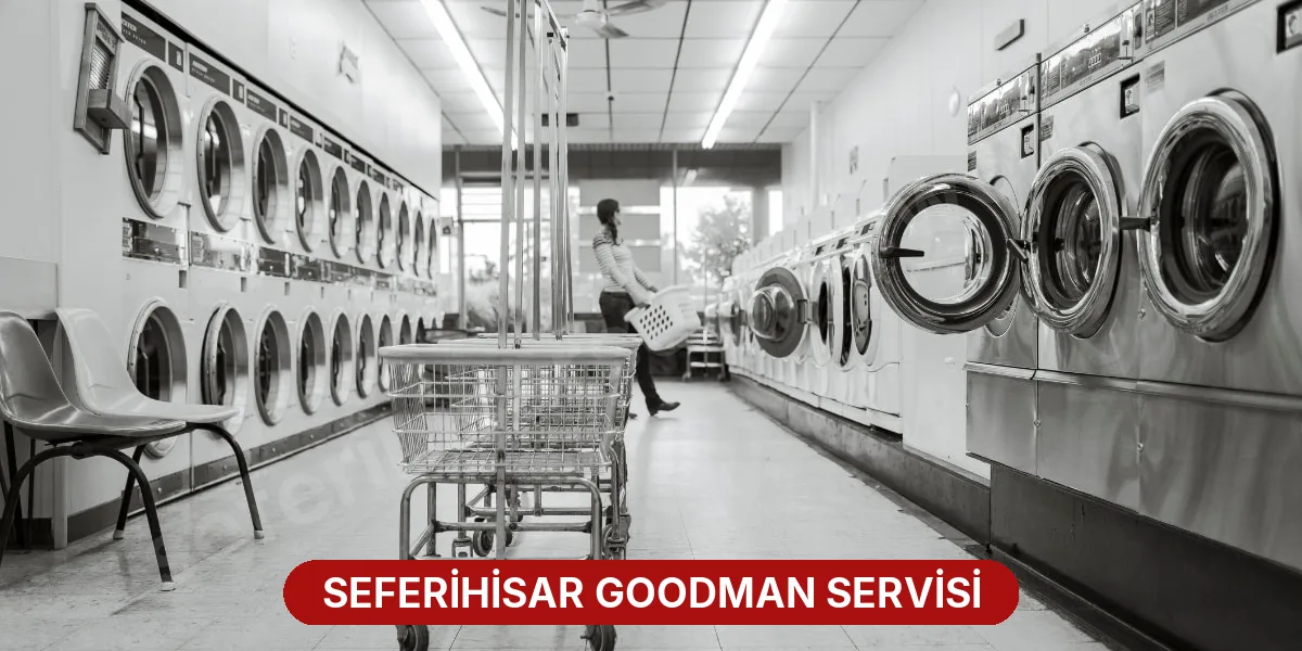 Seferihisar Goodman Servisi