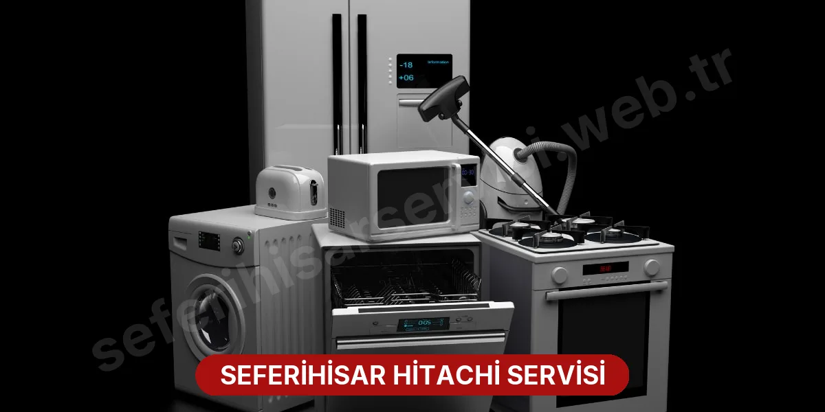 Seferihisar Hitachi Servisi