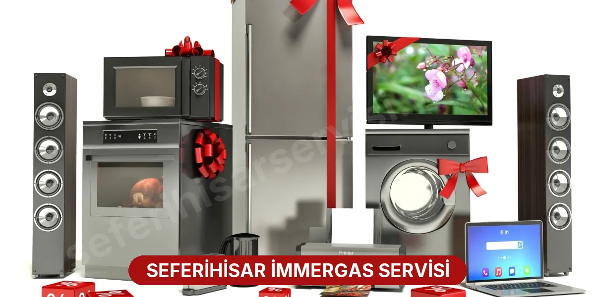 Seferihisar İmmergas Servisi