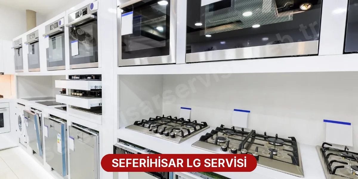 Seferihisar LG Servisi