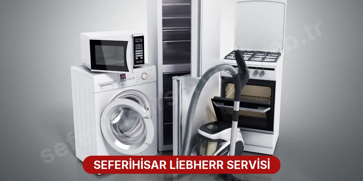 Seferihisar Liebherr Servisi