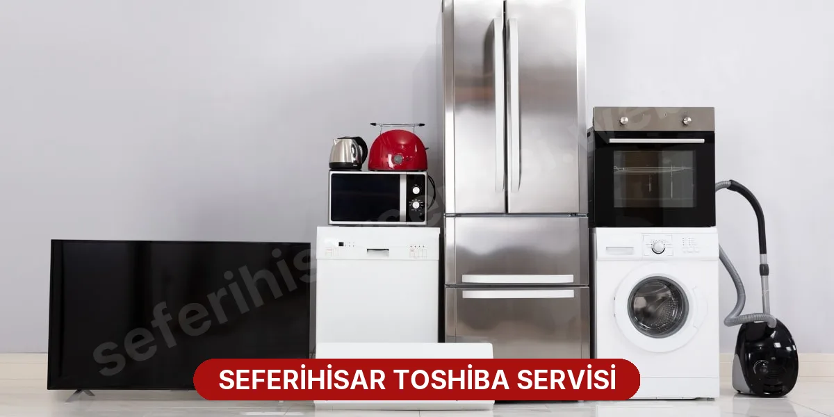 Seferihisar Toshiba Servisi