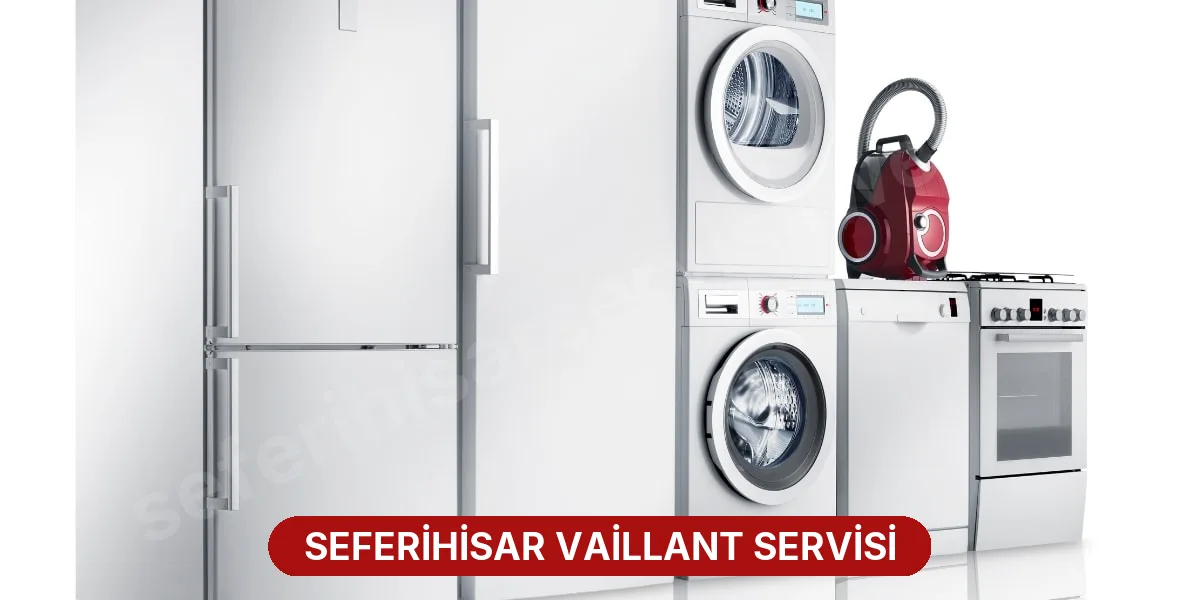 Seferihisar Vaillant Servisi