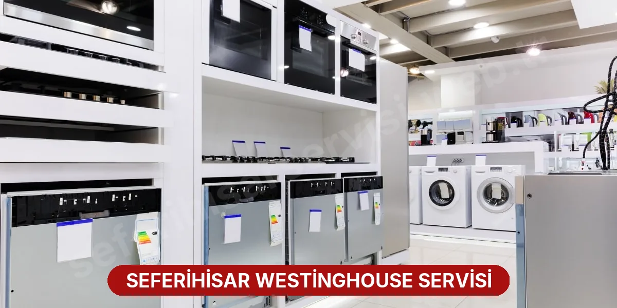 Seferihisar Westinghouse Servisi