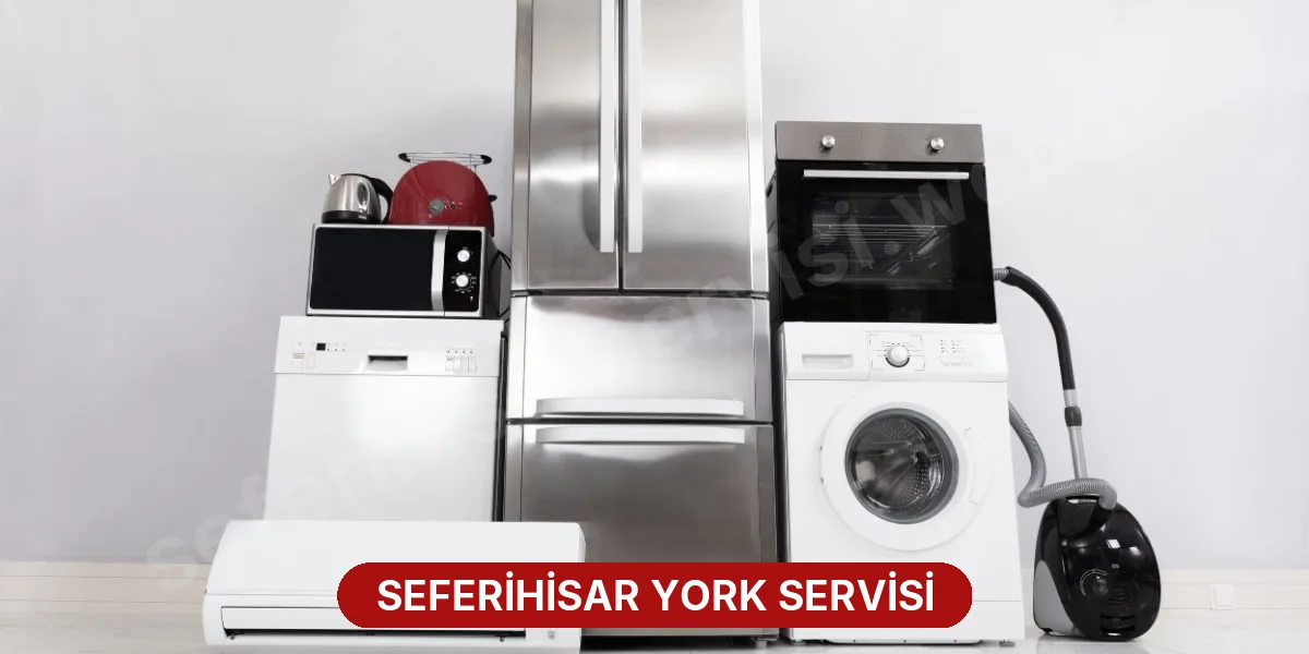 Seferihisar York Servisi